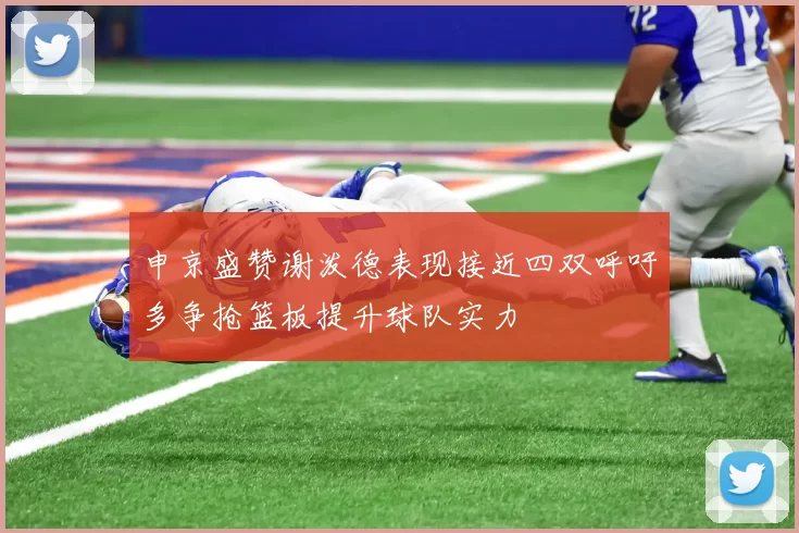 申京盛赞谢泼德表现接近四双呼吁多争抢篮板提升球队实力
