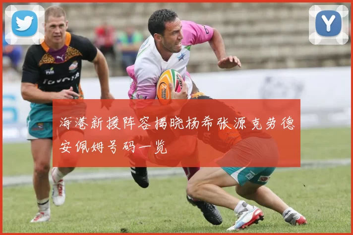 海港新援阵容揭晓杨希张源克劳德安佩姆号码一览