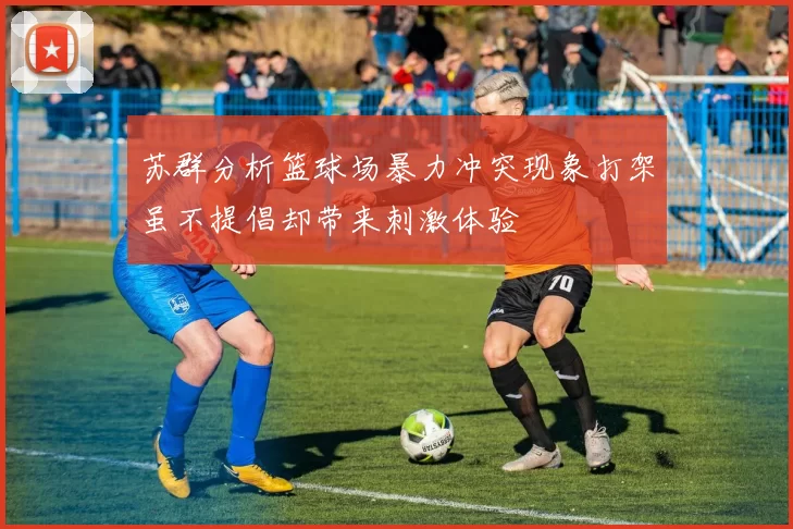 苏群分析篮球场暴力冲突现象打架虽不提倡却带来刺激体验